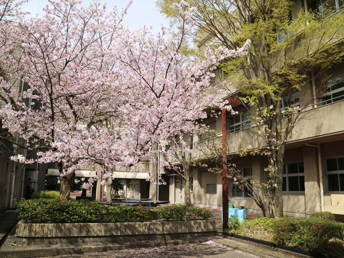 旧伏尾台小学校北校舎　大阪府池田市伏尾台2丁目11