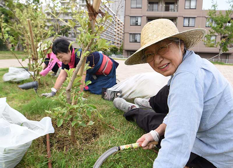 木津川遊歩空間「トコトコダンダン」