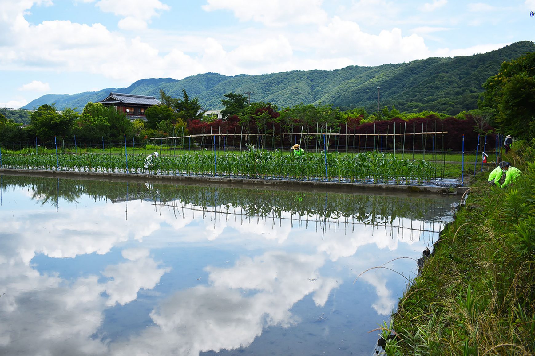 【就労継続支援B型】気持ちの良い屋外での農園作業がメインの活動です