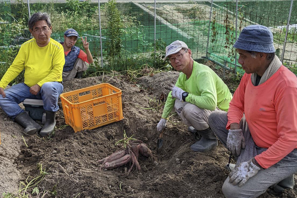 【農福連携】利用者様が行う農業・園芸・清掃などの軽作業をサポートするお仕事です