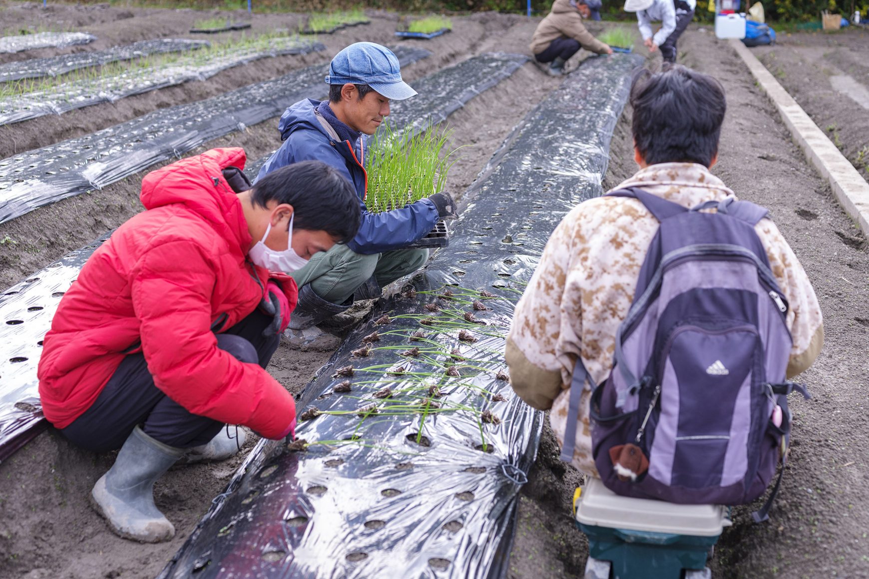 【就労継続支援B型】気持ちの良い屋外での農園作業がメインの活動です