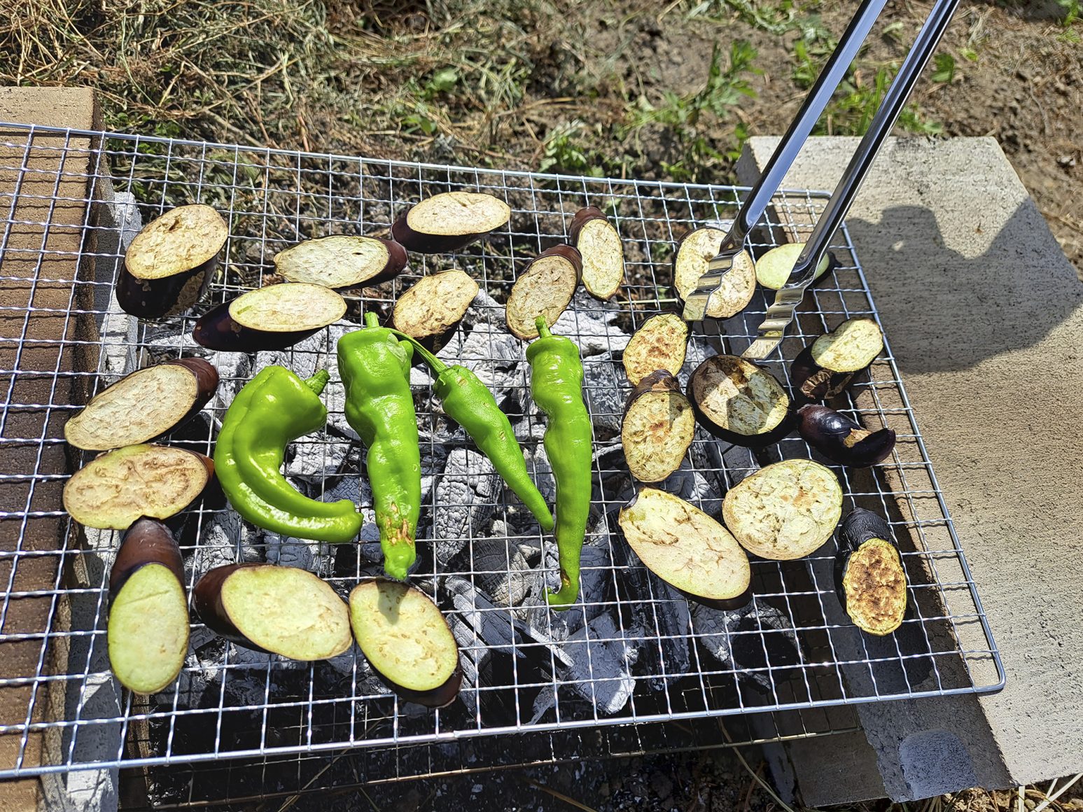 スマイルファーム細河で『夏野菜　大収穫祭』を開催しました